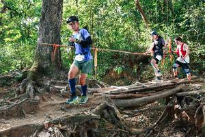 BIB: 
                            <button type="button" onclick="openModal(27558525)" class="btn btn-primary btn-sm float-right btn-popup" data-toggle="modal" data-target=".modal-high-quality">
                        <i class="fas fa-shopping-cart"></i> Add to Cart
                    </button>
                                            <button type="button" onclick="isThisMe(27558525, true)" class="btn btn-success btn-sm float-right btn-popup btn-isme hidden" data-toggle="tooltip" data-placement="bottom" title="นี่คือรูปของคุณใช่ไหม คลิกที่นี่เพื่อเอาเข้าอัลบั้ม">
                        <i class="fas fa-plus"></i> Add to album
                    </button>
                    <button type="button" onclick="isThisMe(27558525, false)" class="btn btn-warning btn-sm float-right btn-popup btn-isnotme hidden">
                        <i class="fas fa-ban"></i> Remove from album
                    </button>